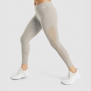 Κολαν Gymshark Αθλητικά Mesh Pocket γκρι | 410LWSYZM