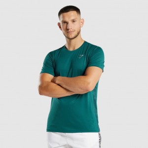 μπλουζακια Gymshark Αθλητικά Teal | 416PCMKTA