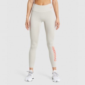 Κολαν Gymshark Αθλητικά σταμπεσ γκρι | 196CNXLJS