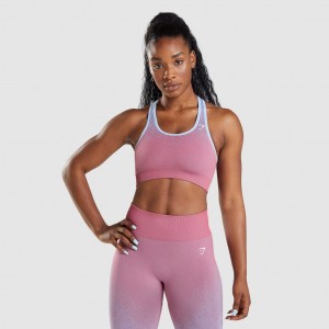 Αθλητικο Σουτιεν Gymshark Adapt Ombre Seamless ροζ ροζ ανοιχτο μπλε | 017HZRMEC