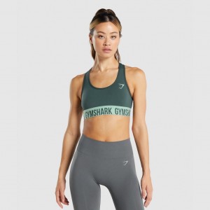 Αθλητικο Σουτιεν Gymshark Fit Seamless πρασινο | 253UKXDPE