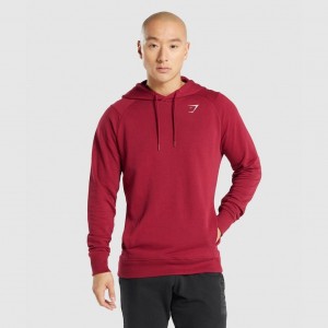 Φουτερ με Κουκουλα Gymshark Bold μπορντο | 624NLEDTR