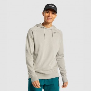 Φουτερ με Κουκουλα Gymshark Bold γκρι | 641RYMGVT