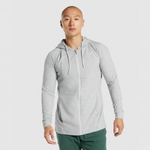 Φουτερ με Κουκουλα Gymshark Critical 2.0 Zip Up ανοιχτο γκρι | 451VRLUPQ