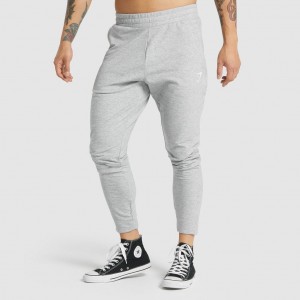 παντελονι jogger Gymshark Critical 2.0 ανοιχτο γκρι | 784UKDAEI