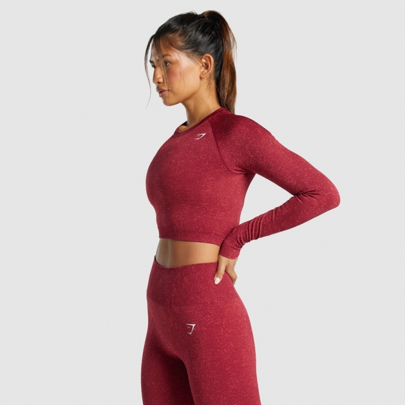μπλουζακια Gymshark Adapt Fleck Seamless Long Sleeve Crop Mineral | 820WDPRMK