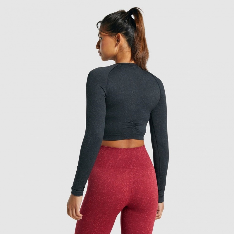 μπλουζακια Gymshark Adapt Fleck Seamless Long Sleeve Crop Mineral | 512LABKFT
