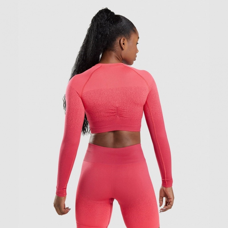 μπλουζακια Gymshark Adapt Ombre Seamless Long Sleeve Crop ροζ κοκκινα | 321OQTZRF