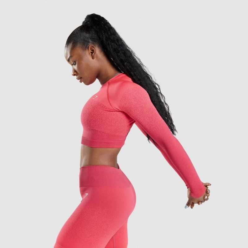 μπλουζακια Gymshark Adapt Ombre Seamless Long Sleeve Crop ροζ κοκκινα | 321OQTZRF
