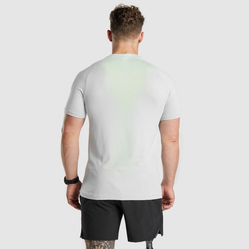 μπλουζακια Gymshark Apex Contrast Seamless ανοιχτο γκρι | 528ZAEWLT