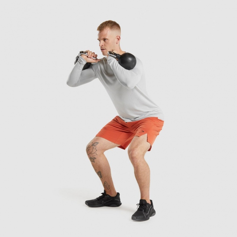 μπλουζακια Gymshark Apex Long Sleeve ανοιχτο γκρι | 574RJXNZU