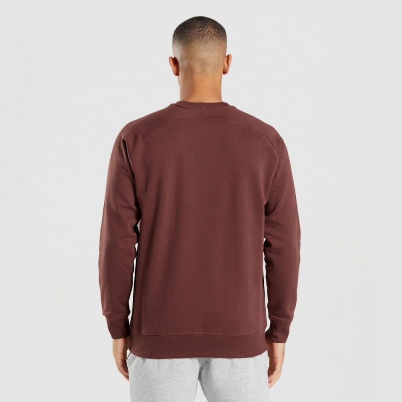 Φουτερ Gymshark Apollo Crew καφε | 297PXBLVZ