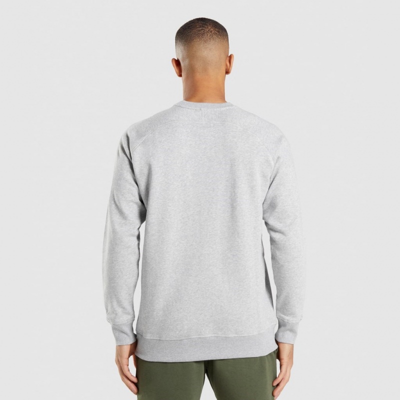 Φουτερ Gymshark Apollo Crew ανοιχτο γκρι | 350UTKZBW