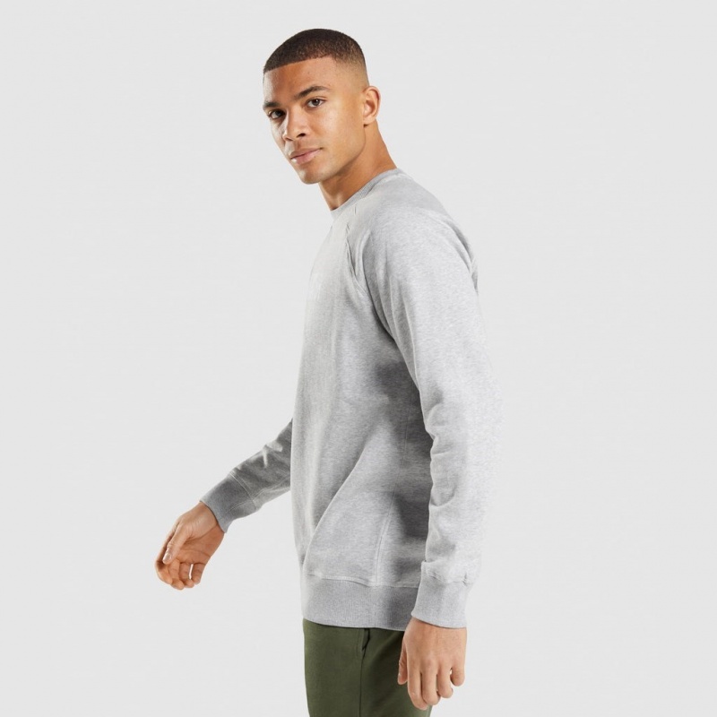 Φουτερ Gymshark Apollo Crew ανοιχτο γκρι | 350UTKZBW