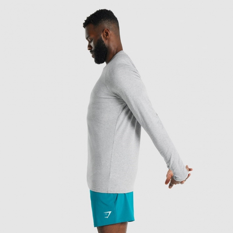 μπλουζακια Gymshark Apollo Long Sleeve ανοιχτο γκρι | 758OHSPNB