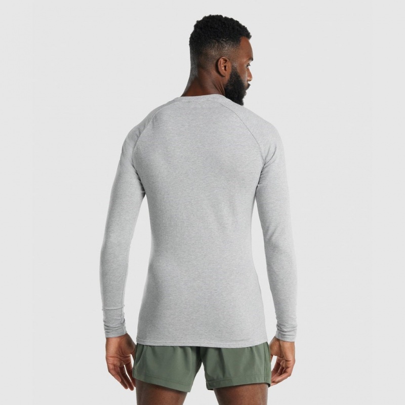 μπλουζακια Gymshark Apollo Long Sleeve ανοιχτο γκρι | 965HAJKRM