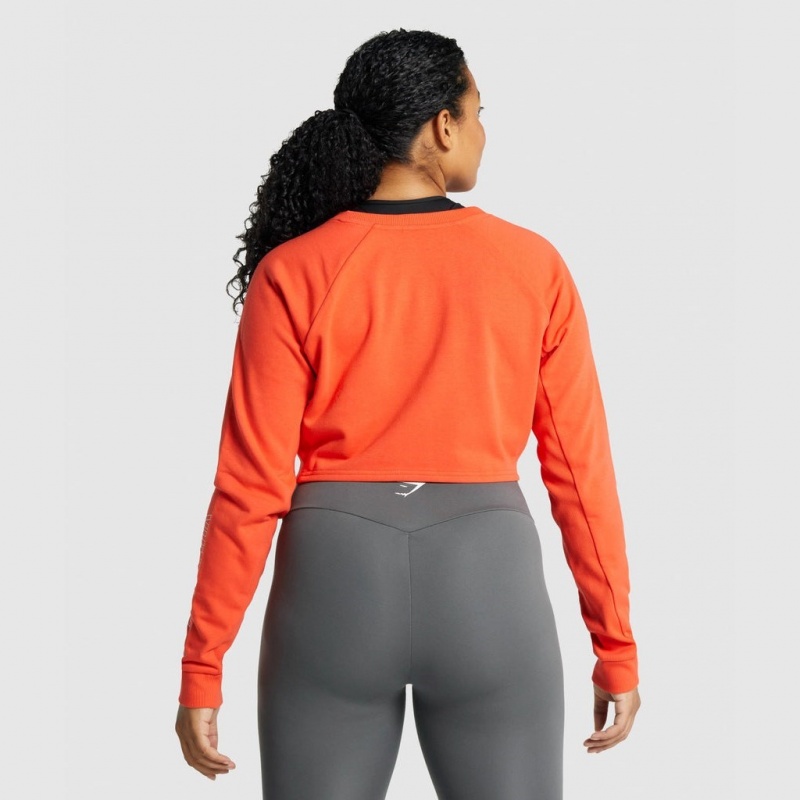 Πουλόβερ Gymshark Apollo σταμπεσ Cropped πορτοκαλι | 187NPRLIX