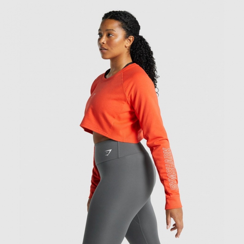 Πουλόβερ Gymshark Apollo σταμπεσ Cropped πορτοκαλι | 187NPRLIX