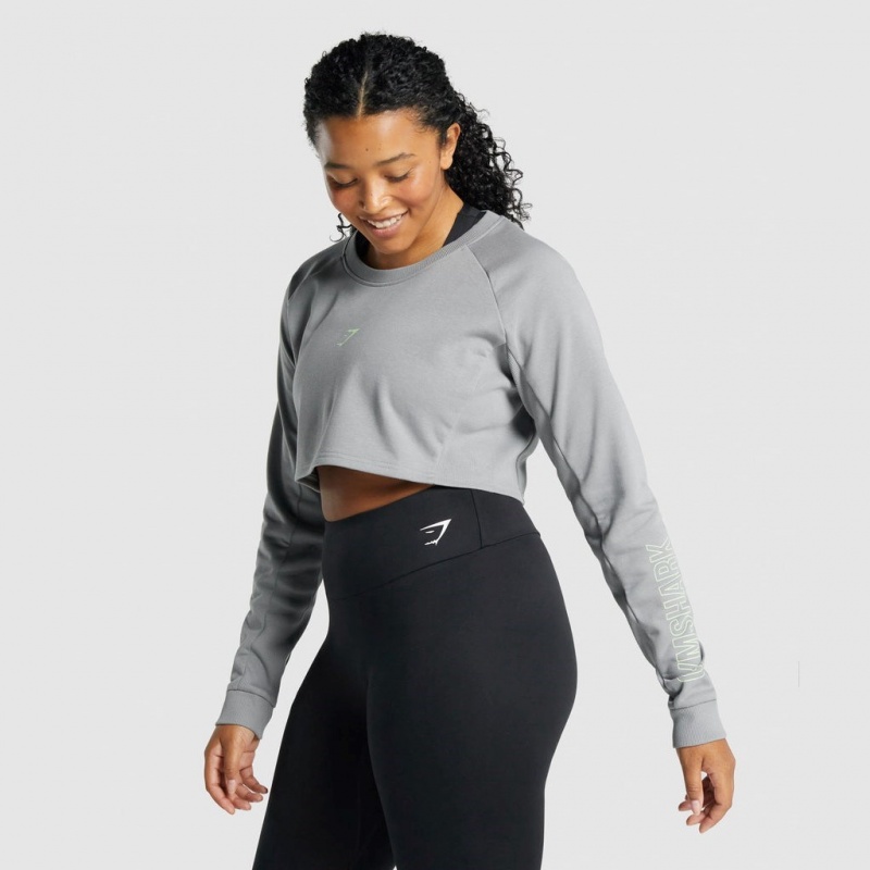Πουλόβερ Gymshark Apollo σταμπεσ Cropped γκρι | 681HJFOER