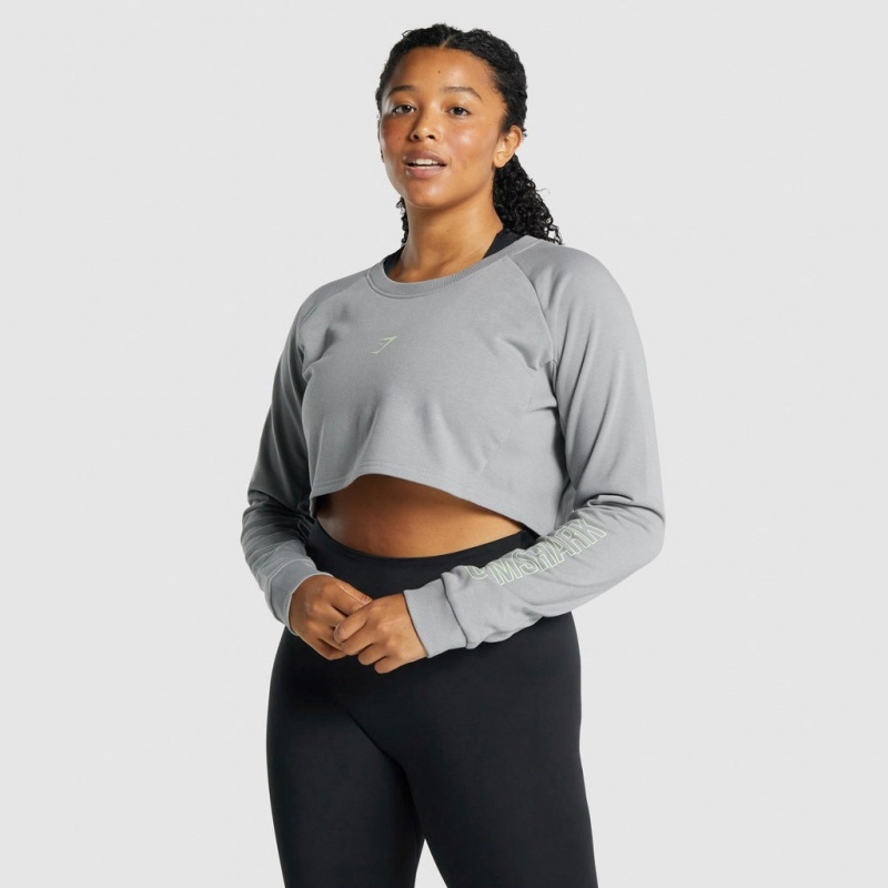 Πουλόβερ Gymshark Apollo σταμπεσ Cropped γκρι | 681HJFOER