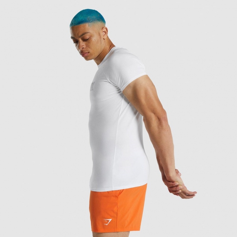 μπλουζακια Gymshark Apollo ασπρα | 034NSWEMU
