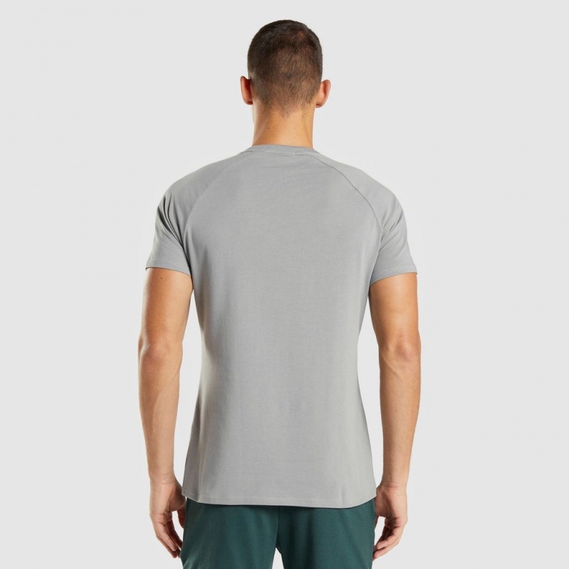 μπλουζακια Gymshark Apollo γκρι | 265KZDFMG