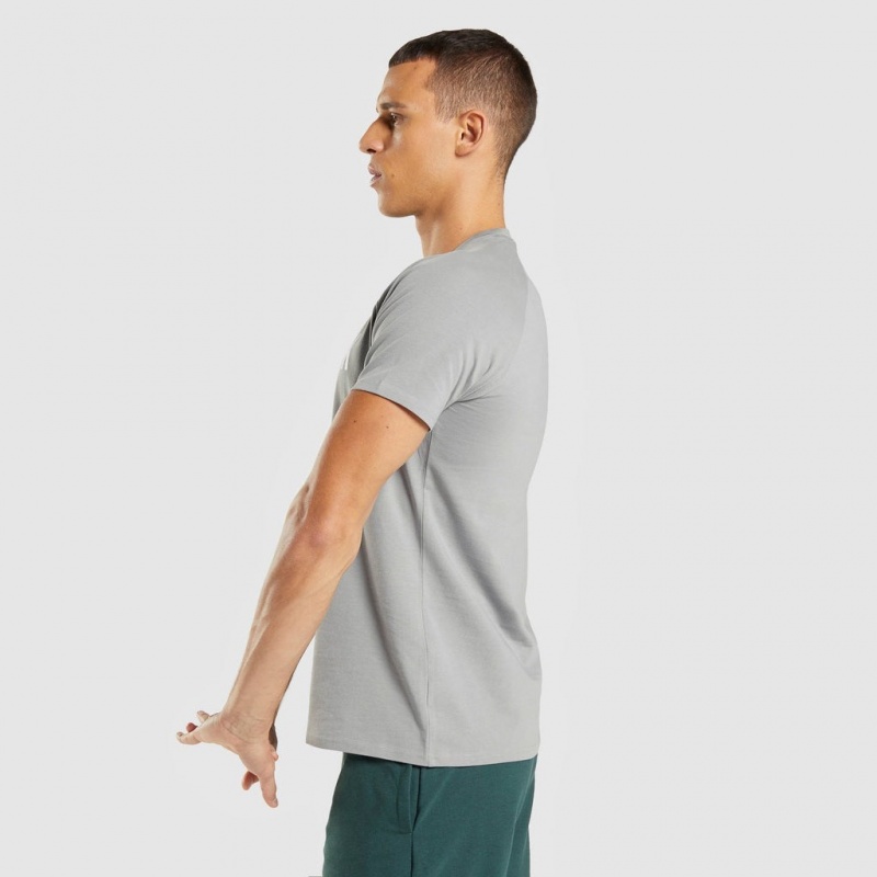 μπλουζακια Gymshark Apollo γκρι | 265KZDFMG