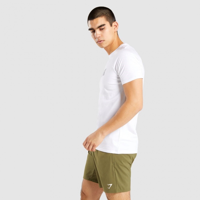 μπλουζακια Gymshark Apollo ασπρα | 529LCSYIR