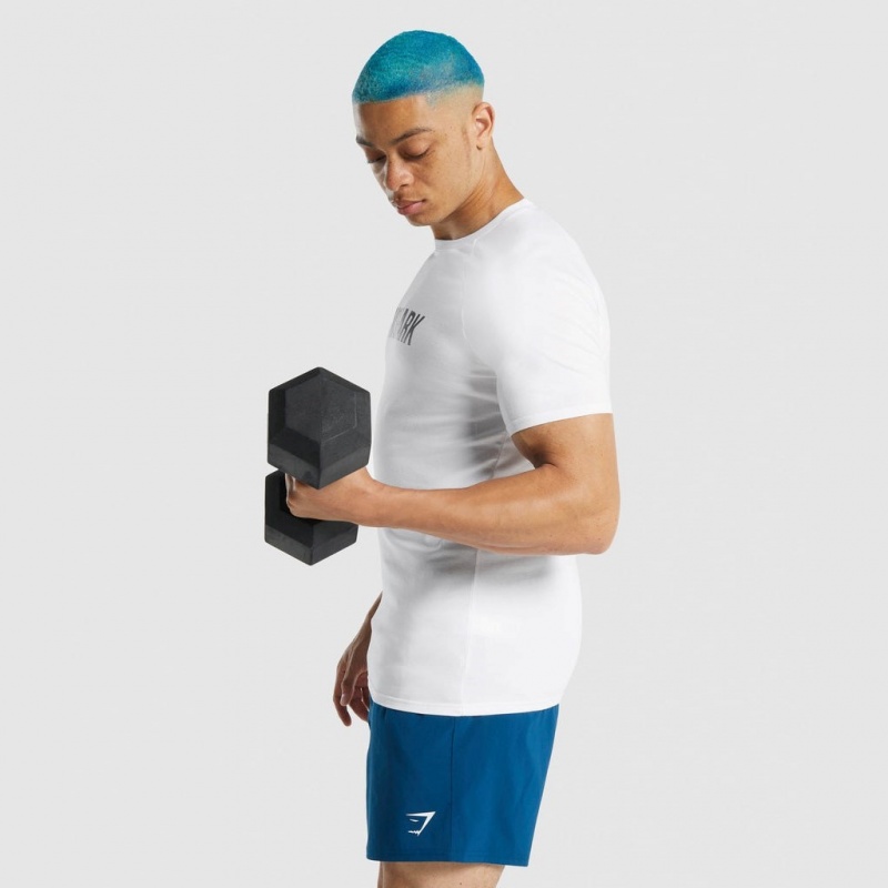 μπλουζακια Gymshark Apollo ασπρα | 623QXHMWZ