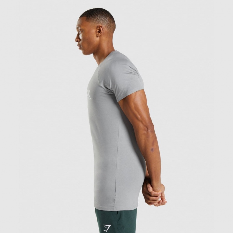 μπλουζακια Gymshark Apollo γκρι | 950GNCZLD