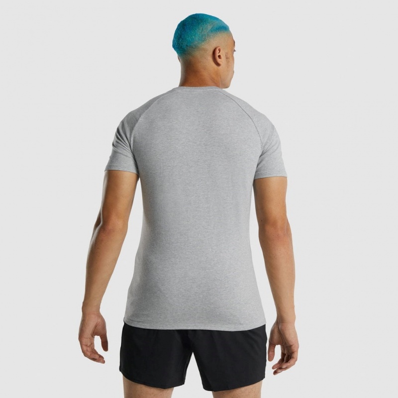 μπλουζακια Gymshark Apollo ανοιχτο γκρι | 561HICEOJ