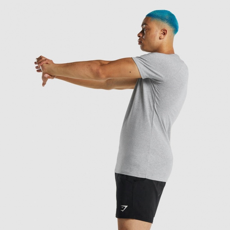 μπλουζακια Gymshark Apollo ανοιχτο γκρι | 561HICEOJ