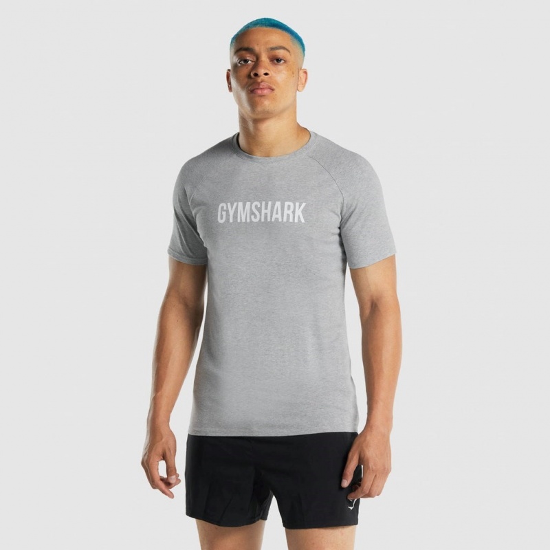μπλουζακια Gymshark Apollo ανοιχτο γκρι | 561HICEOJ