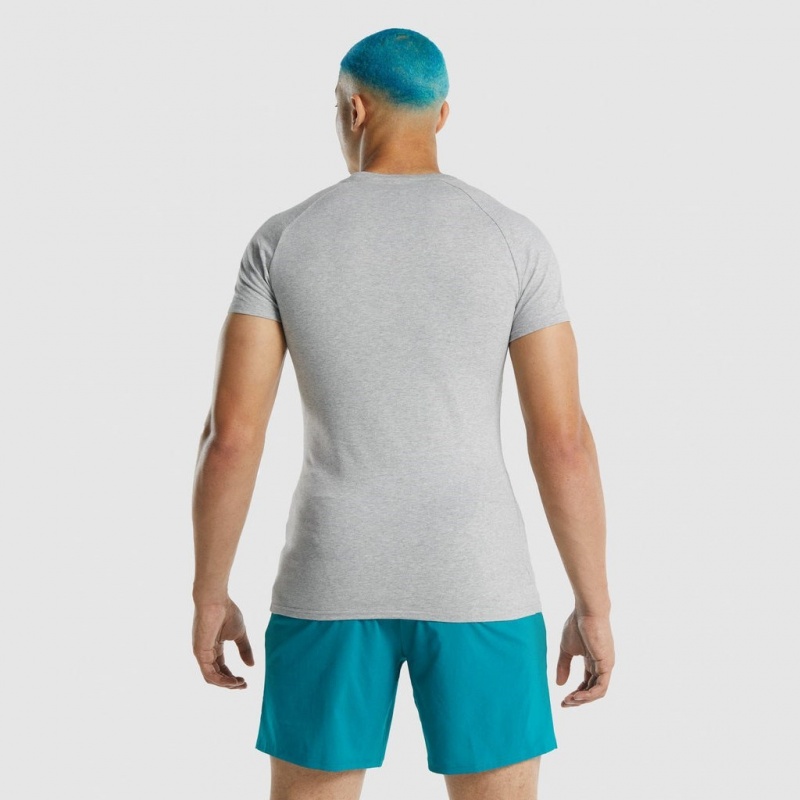 μπλουζακια Gymshark Apollo ανοιχτο γκρι | 831POTYBR