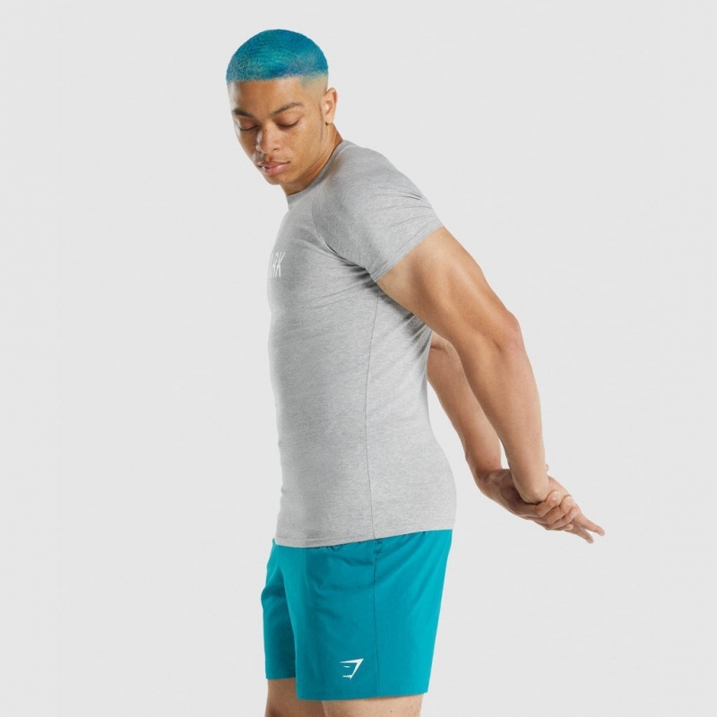 μπλουζακια Gymshark Apollo ανοιχτο γκρι | 831POTYBR