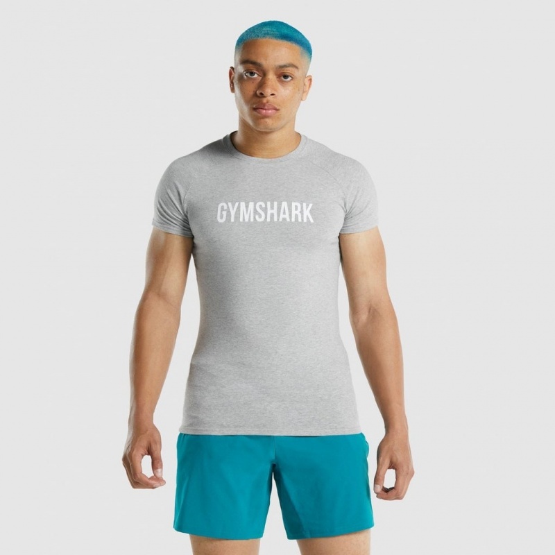 μπλουζακια Gymshark Apollo ανοιχτο γκρι | 831POTYBR