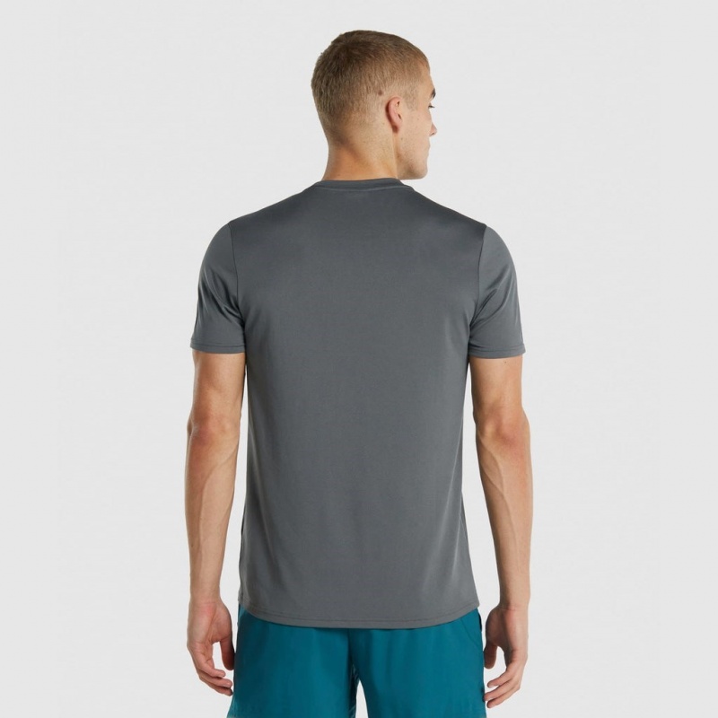 μπλουζακια Gymshark Arrival Regular Fit Charcoal | 536PBQLWC