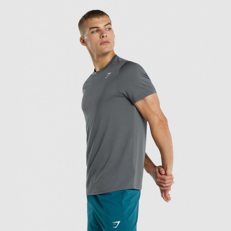 μπλουζακια Gymshark Arrival Regular Fit Charcoal | 536PBQLWC