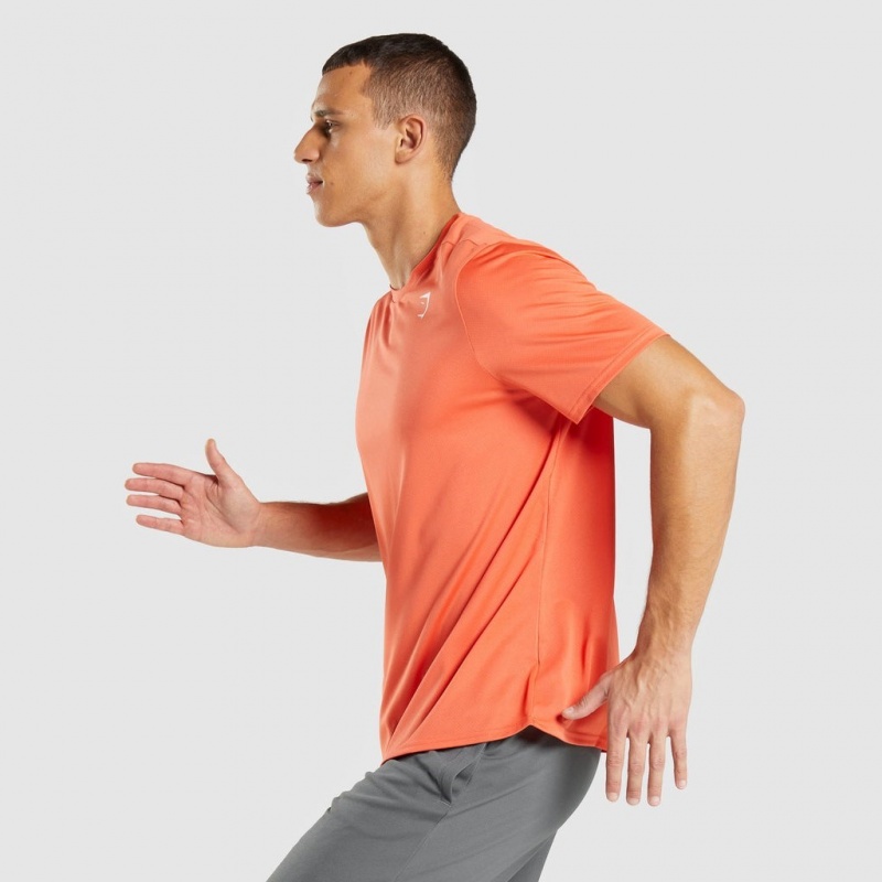 μπλουζακια Gymshark Arrival Regular Fit πορτοκαλι | 354SZQWJR
