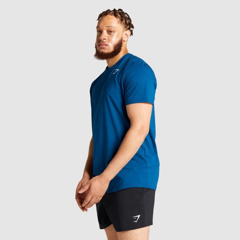 μπλουζακια Gymshark Arrival Regular Fit μπλε | 806HKXETU
