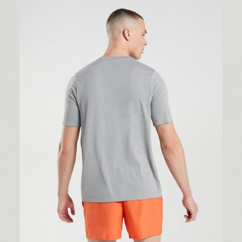 μπλουζακια Gymshark Arrival Seamless γκρι | 062WAZRML