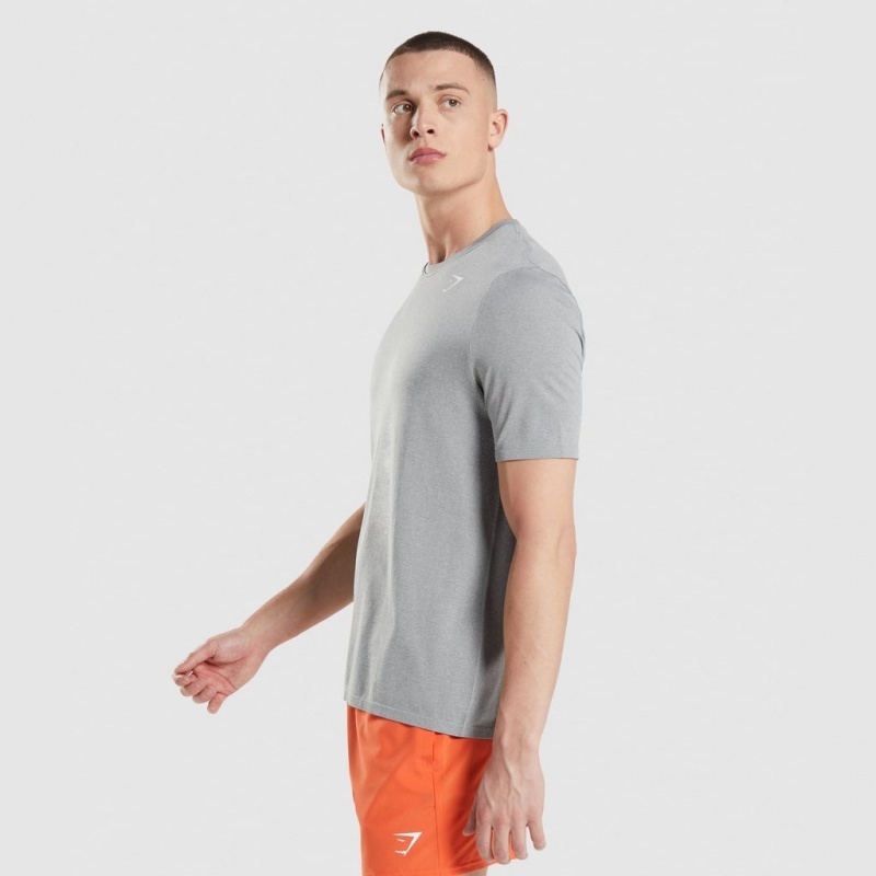 μπλουζακια Gymshark Arrival Seamless γκρι | 062WAZRML