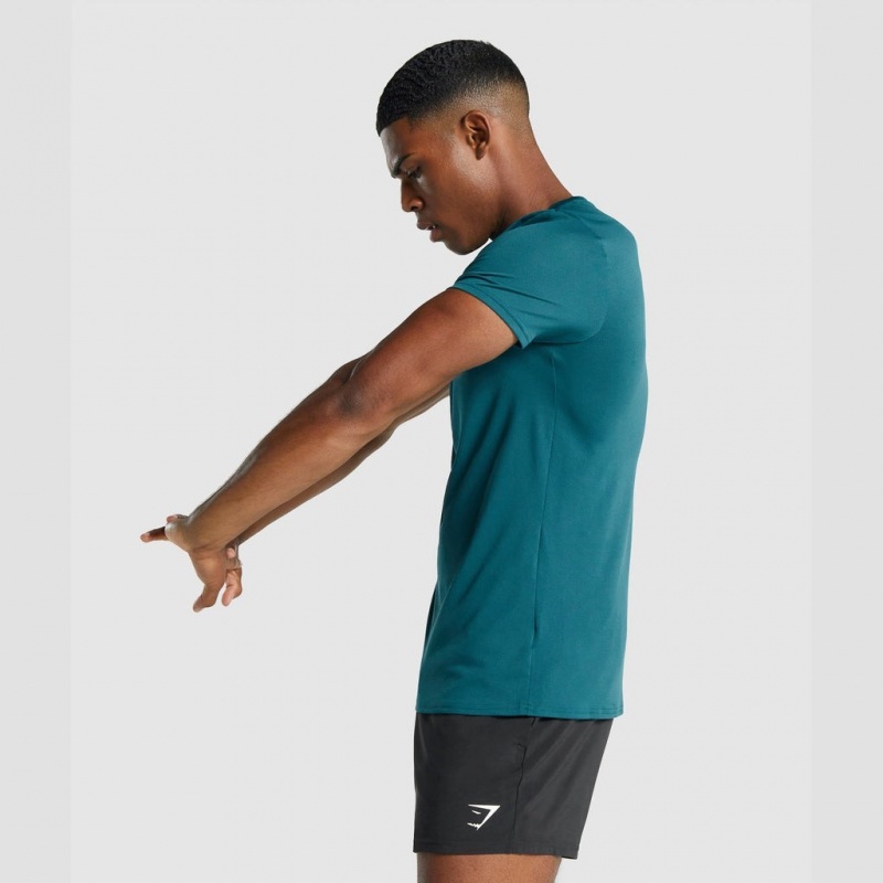 μπλουζακια Gymshark Arrival σταμπεσ Teal | 415UNWCLY