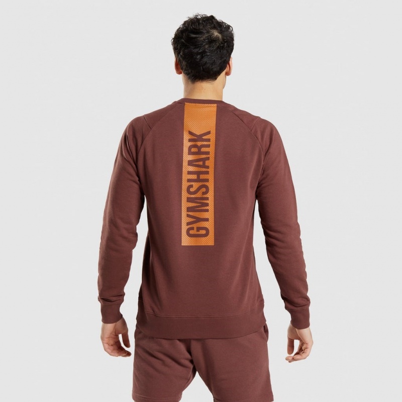 Φουτερ Gymshark Bold Crew καφε | 176HYUSZC