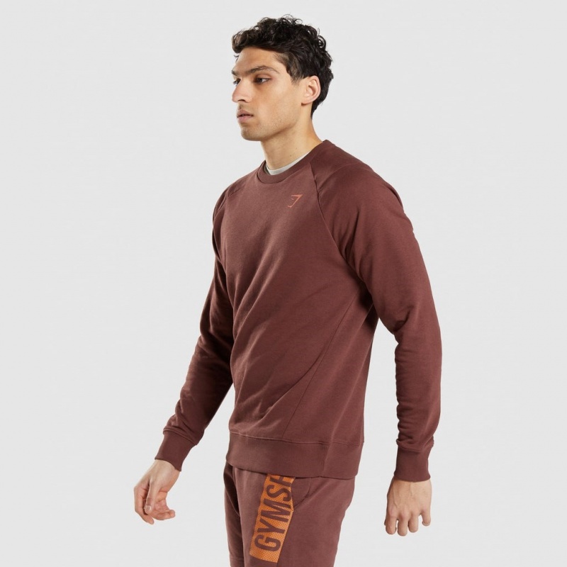 Φουτερ Gymshark Bold Crew καφε | 176HYUSZC