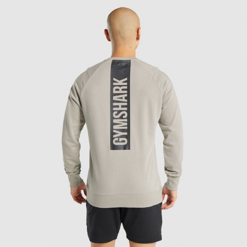 Φουτερ Gymshark Bold Crew γκρι | 317CMFYNS