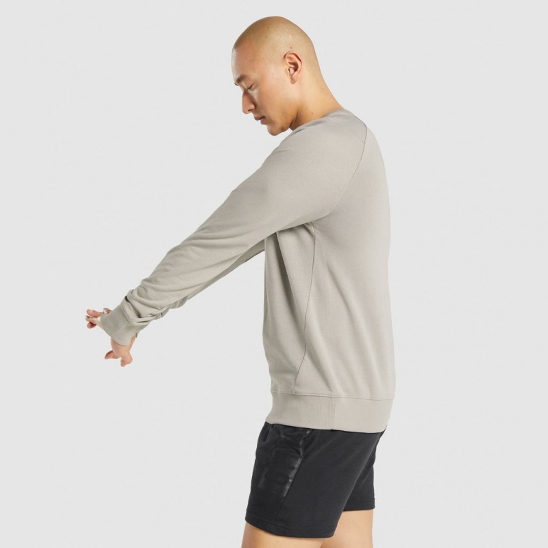 Φουτερ Gymshark Bold Crew γκρι | 317CMFYNS
