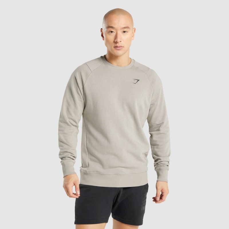 Φουτερ Gymshark Bold Crew γκρι | 317CMFYNS