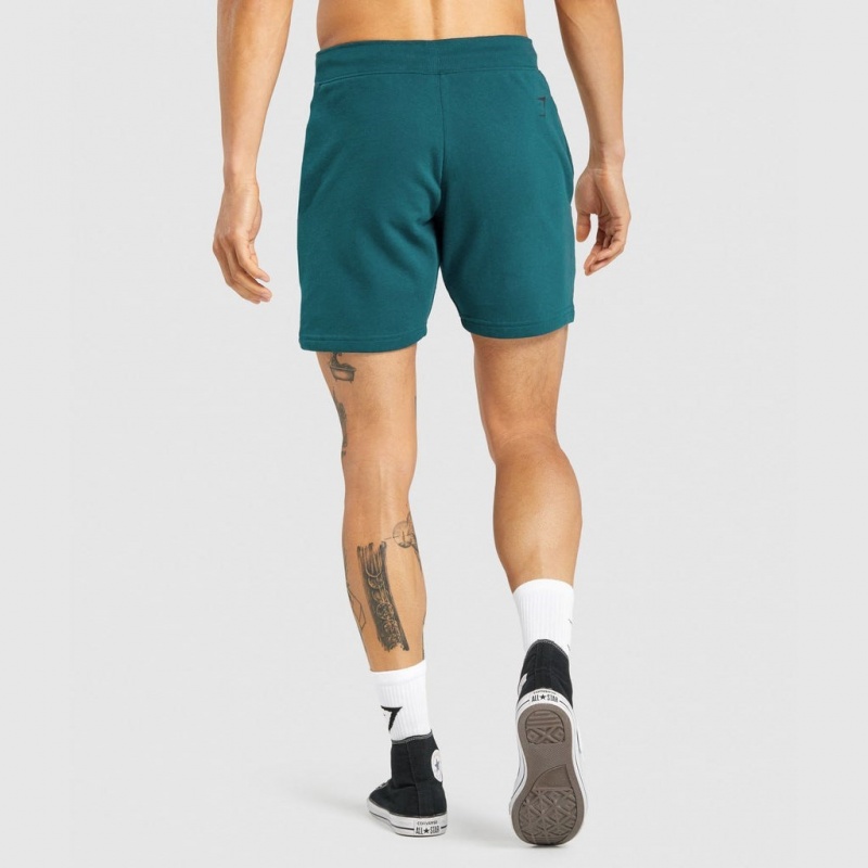 Σορτσ Gymshark Bold Teal | 237WGOBJX
