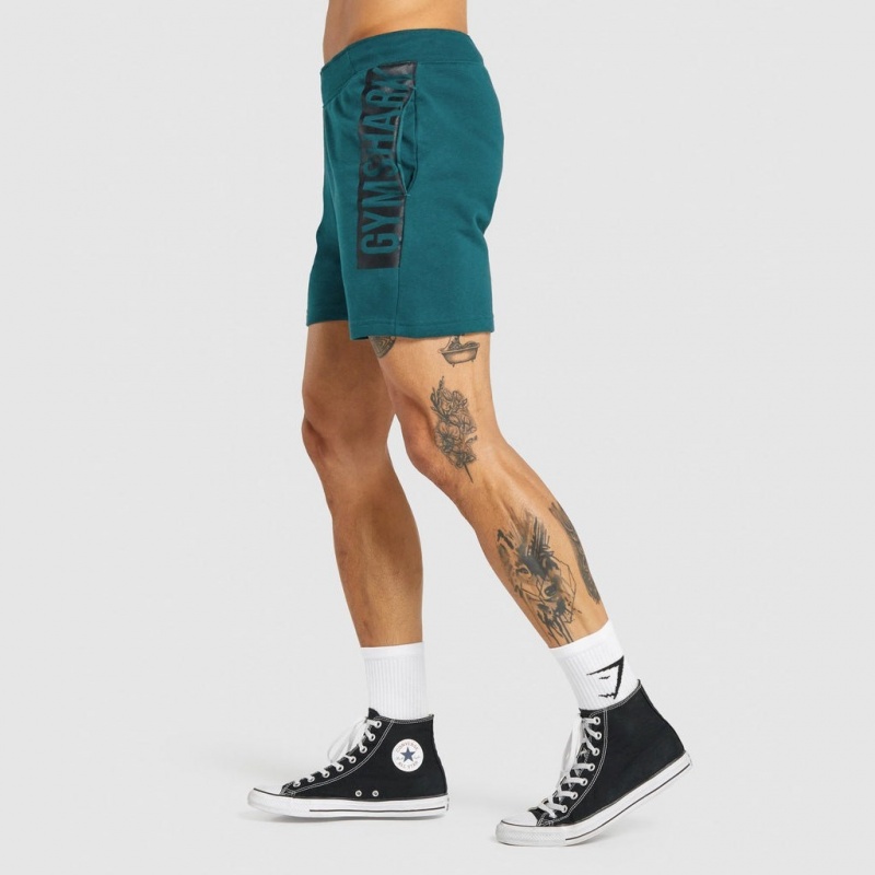 Σορτσ Gymshark Bold Teal | 237WGOBJX